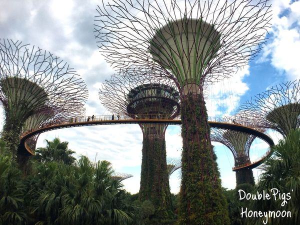 新加坡與馬爾地夫蜜月旅行