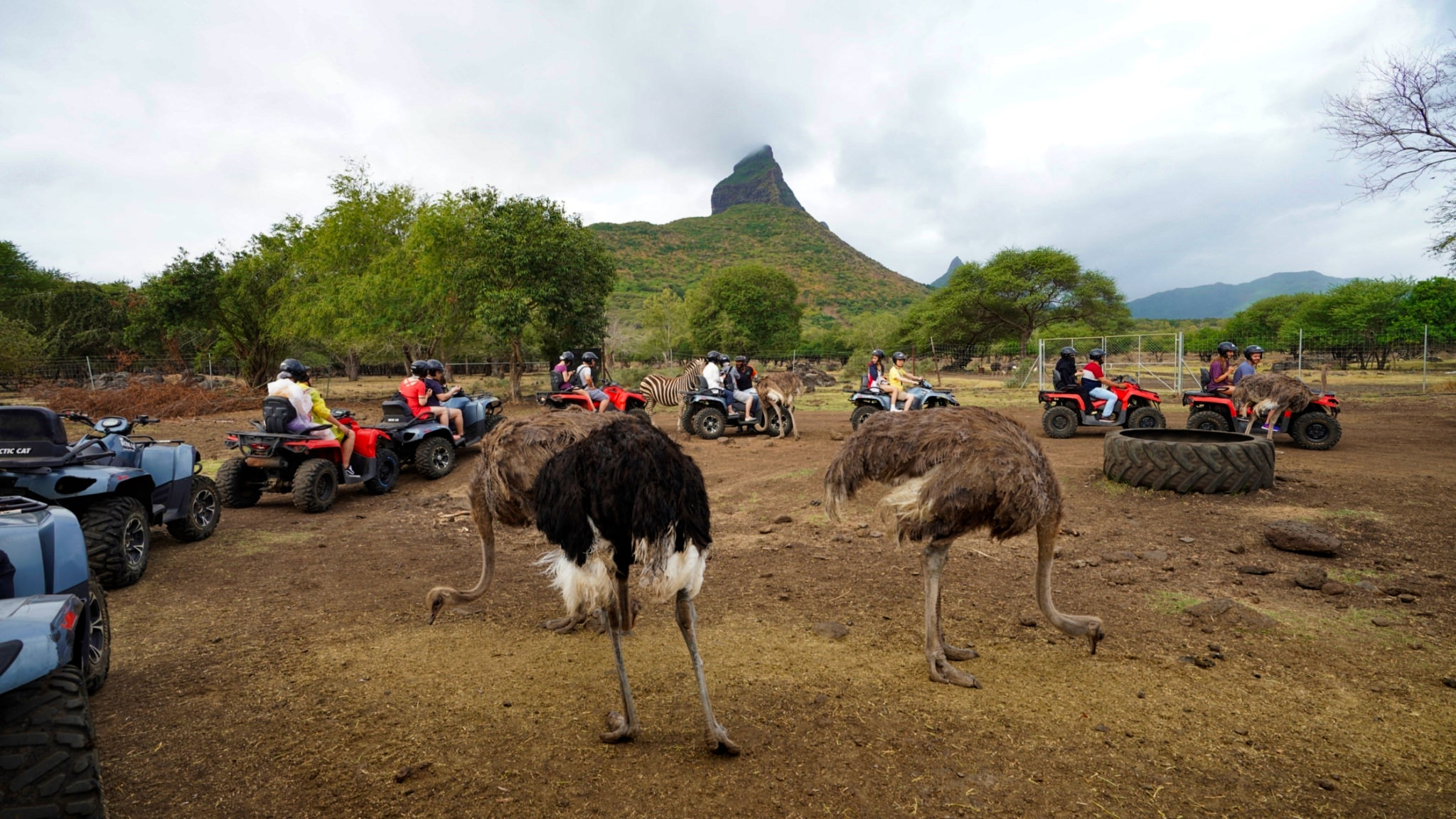 模里西斯,Mauritius,模里西斯景點,七色土,Casela自然公園,模里西斯旅遊