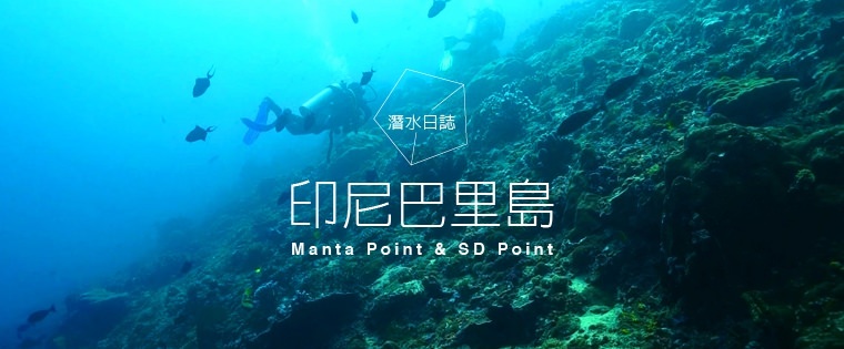 潛水日誌。印尼巴里島 Manta Point & SD Point