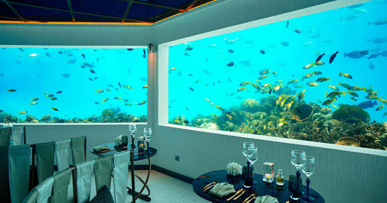 馬爾地夫海底餐廳
