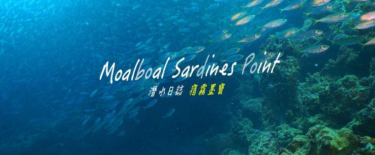 潛水日誌。宿霧墨寶Moalboal Sardines Point